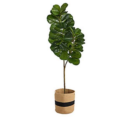 5.5' Fiddle Leaf Fig Natural Cotton Planter by arly Natural