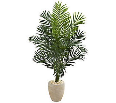 5.5' Paradise Palm Tree in Planter by Nearly Na tural