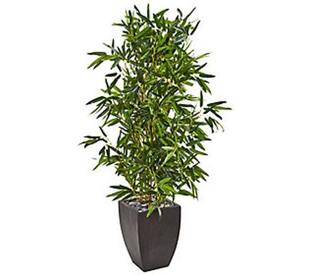 5' Bamboo Tree in Black Planter by Nearly Natur al
