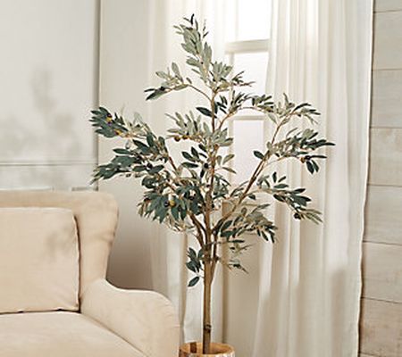 5' Faux Olive Leaf Tree in Starter Pot by Valerie