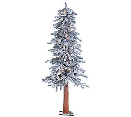 5-Ft Pre-Lit Flocked Alpine Tree w/100 lights b y Sterling Co.