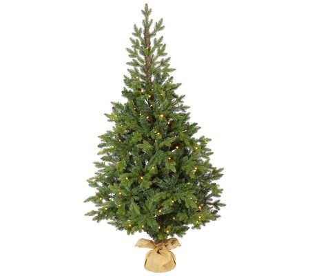 5' Lit Fraser "Natural Look" Christmas Tree by early Natural