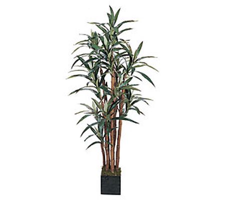 5' Yucca Silk Tree by Nearly Natural