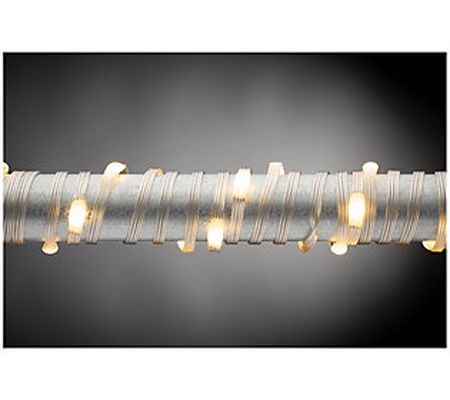 50-ft L Warm White LED Silver String by Everlas ting Glow