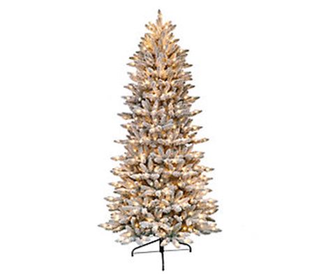 6.5' Flocked Slim Fraser Fir Artificial Tree 35 0 Clear Lights