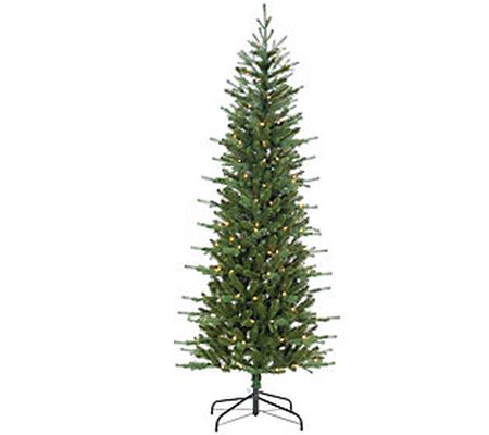 6.5-ft Natural Cut Narrow Dover Pine by Sterlin g Co