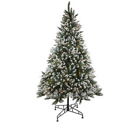 6.5' Medium Frosted Sierra Fir Christmas Tree - Clear Lights