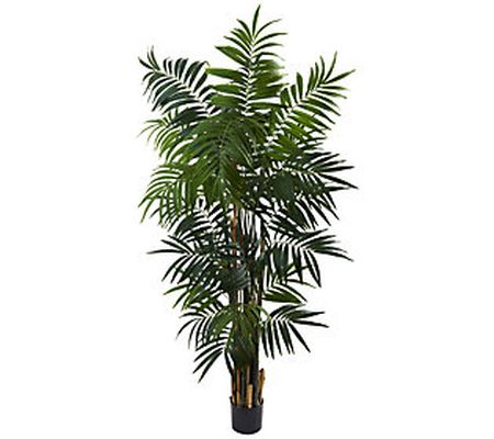 6' Bulb Areca Palm Tree by Nearly Natural