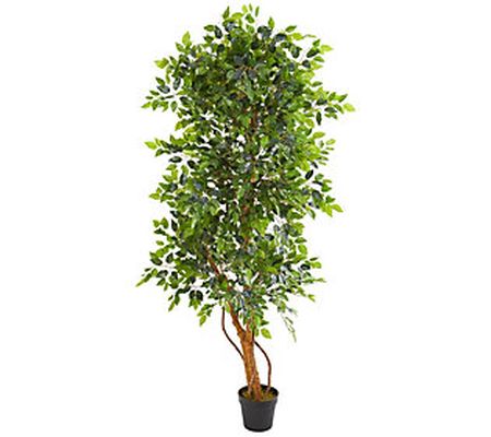 6' Elegant Ficus Artificial Tree by Nearly Natu ral