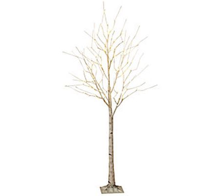 6-Foot Birch Bark Effect Lighted Tree by Gerson Co.