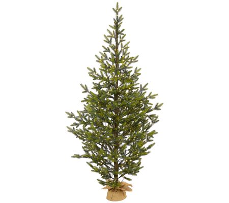 6' Lit Fraser Natural Look Christmas Tree byearly Natural