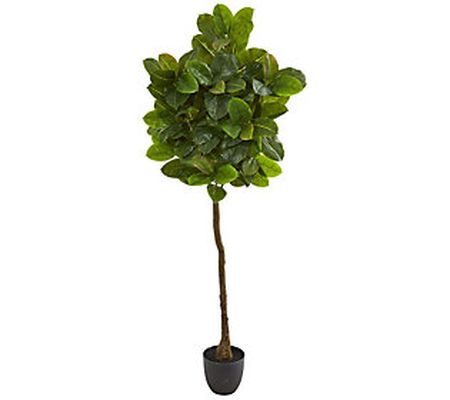 6' Rubber Leaf Tree Real Touch by Nearly Natura l