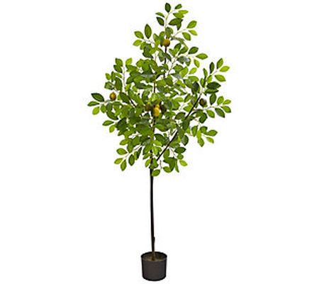 61" Lemon Artificial Tree By Nearly Natural