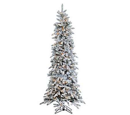 7.5' Flocked Narrow Pencil Pine with 450 lights by Sterling Co