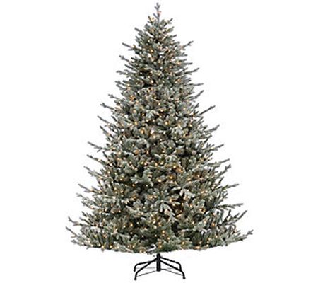7.5' Lightly Flocked Natural Cut Olympia Fir by Gerson Co.