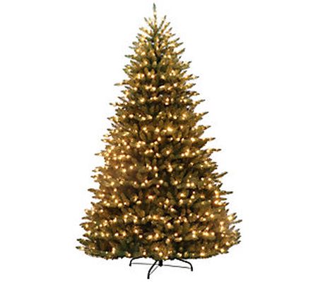 7.5' Prelit Franklin Fir Grand Christmas Tree 7 50 Clear Light