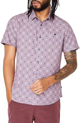 7 Diamonds Daydreamer Short Sleeve Button-Up Performance Shirt in Dusty Rose