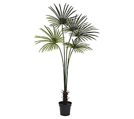 7' Fan Palm Tree by Nearly Natural