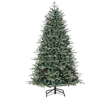 7-Ft Pre-Lit Natural Cut Blue Spruce by Sterlin g Co