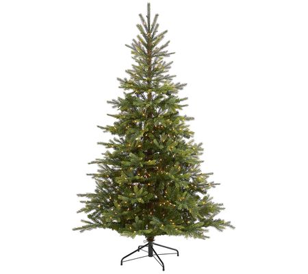 7' Lit North Carolina Spruce Christmas Tree by arly Natural