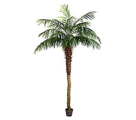 7' Potted Phoenix Palm Tree by Vickerman
