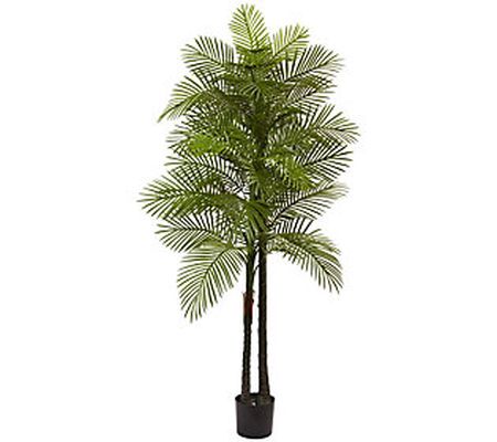 7' Tall Double Robellini Palm Tree by Nearly Na tural