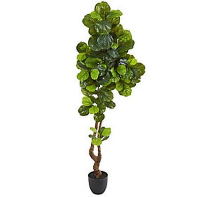 78" Fiddle Leaf Artificial Tree by Nearly Natur al
