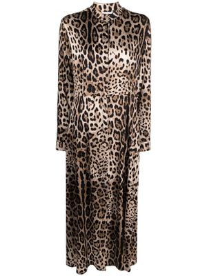 813 leopard-print belted maxi dress - Brown