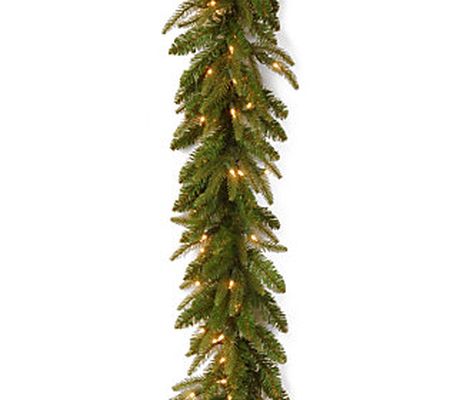 9 ft. Frasier Grande Garland with Clear Lights