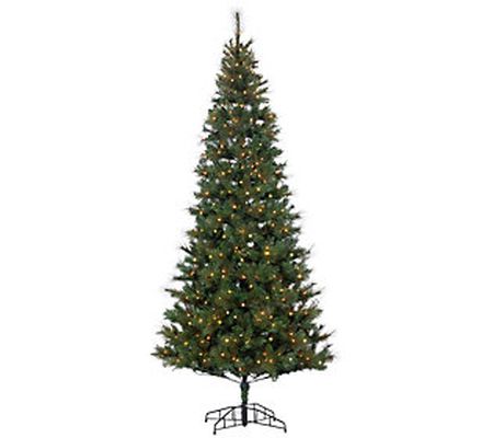 9-Ft H Pre-Lit Hard/Mixed Needle Baxter Pine by Sterling Co.