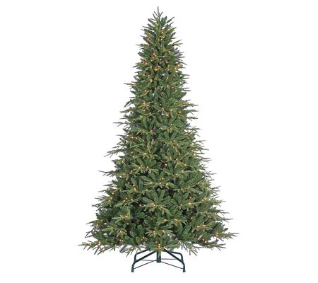 9' Prelit Nat Cut Frasier Fir with 1000 Lights y Sterling Co