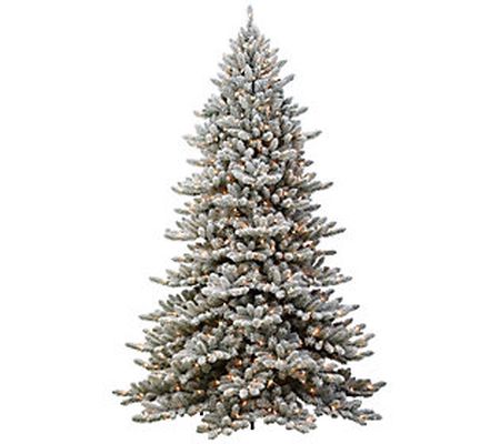 9' Royal Majestic Fraser Fir Flocked Tree 800 C lear Lights