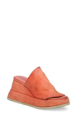 A. S.98 Rafe Wedge Sandal in Coral