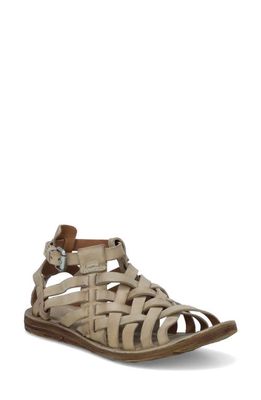 A. S.98 Ralston Strappy Sandal in Taupe