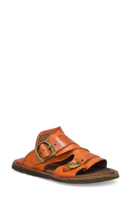 A. S.98 Tavon Sandal in Orange