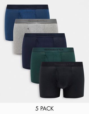 Abercrombie & Fitch 5 pack logo tonal waistband trunks in multi