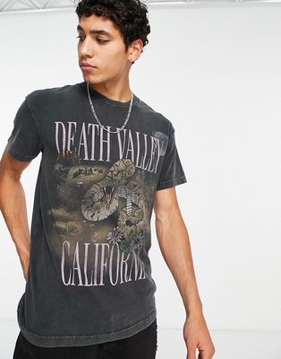 Abercrombie & Fitch California nature t-shirt in black wash