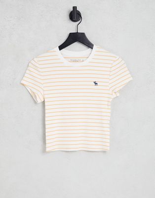 Abercrombie & Fitch crop logo baby T-shirt in yellow stripe-Multi