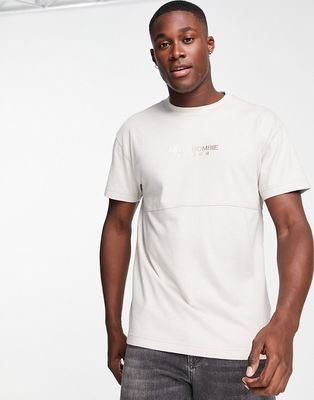 Abercrombie & Fitch cross chest logo t-shirt in dove gray