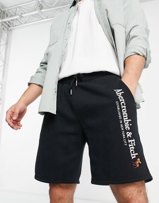 Abercrombie & Fitch sweat shorts in black with logo