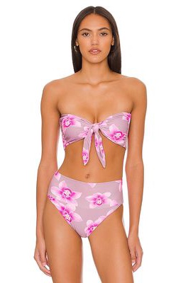 ACACIA Baker Bikini Top in Pink