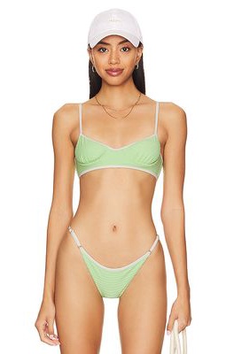 ACACIA Sadie Bikini Top in Green