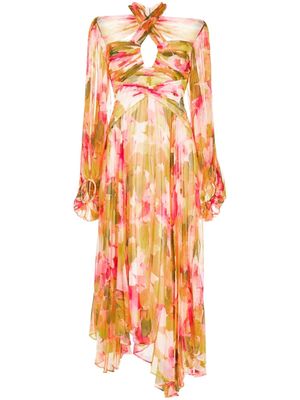 Acler Abbeywood floral-print midi dress - Multicolour