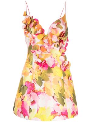 Acler Isla floral-appliqué minidress - Multicolour