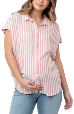 Ada Stripe Maternity Shirt in Terracotta /White