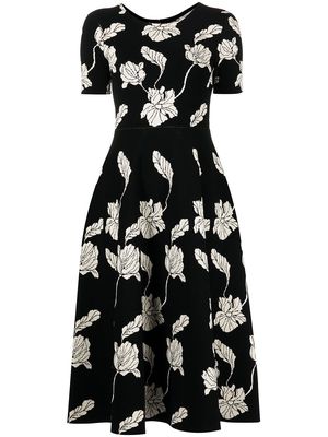 Adam Lippes floral-print knitted midi dress - Black