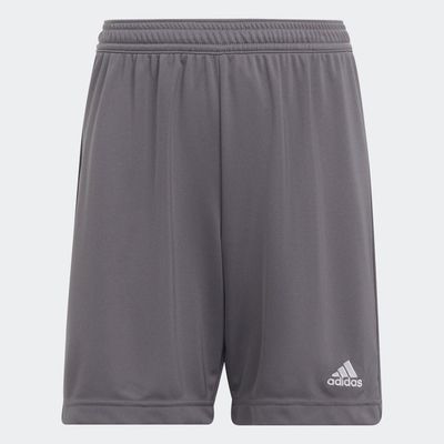 adidas Entrada 22 Shorts Team Grey Four M Kids