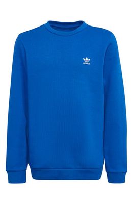 adidas Kids' Adicolor Crewneck Sweatshirt in Blue