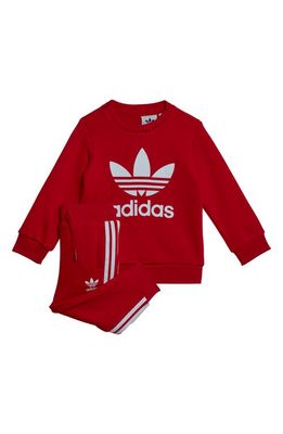 adidas Lifestyle Crewneck Sweatshirt & Joggers Set in Better Scarlet