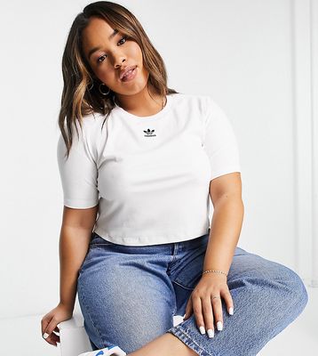 adidas Originals Plus essentials cropped top with central logo in white